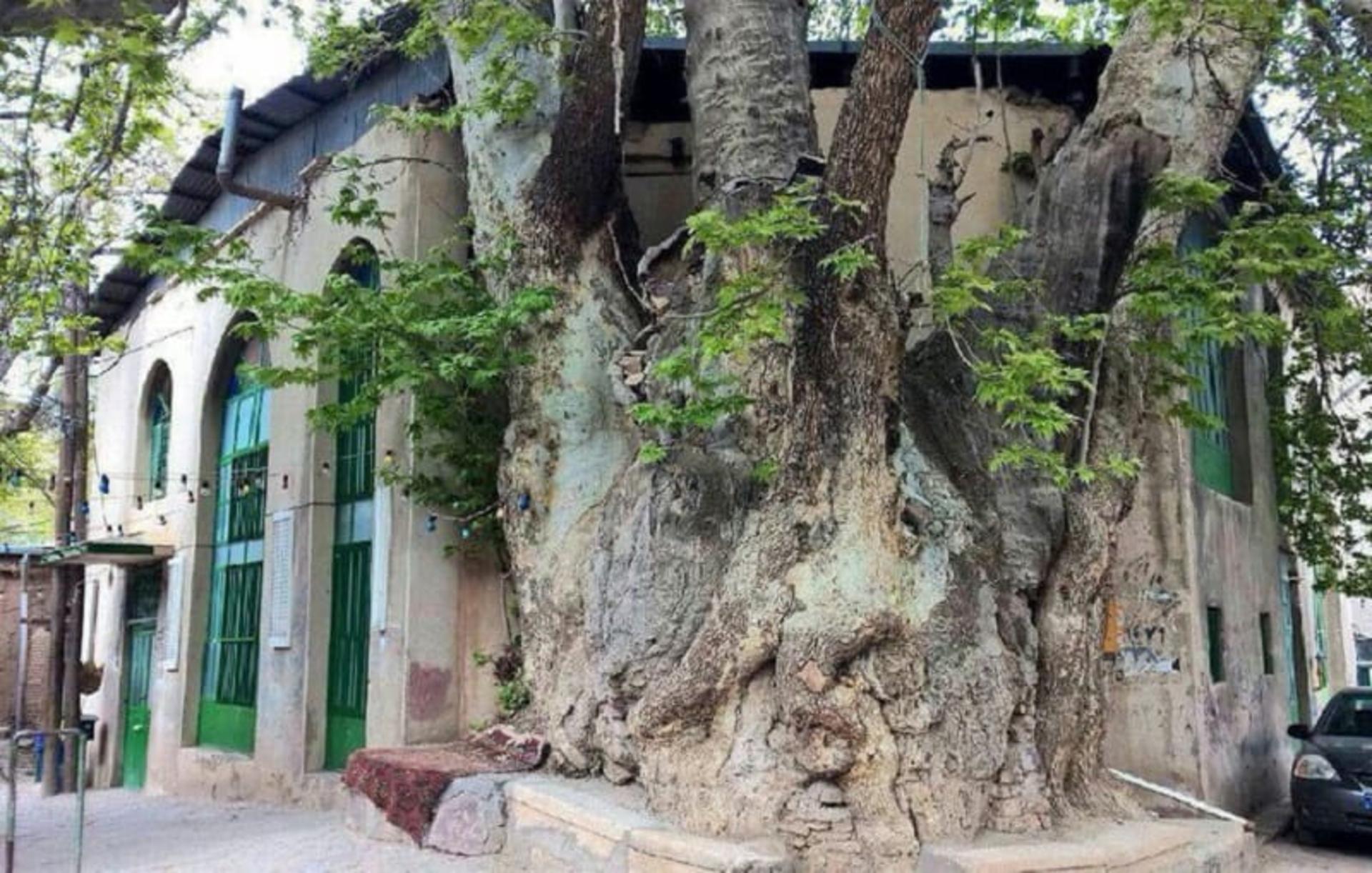 بناهای تاریخی برغان