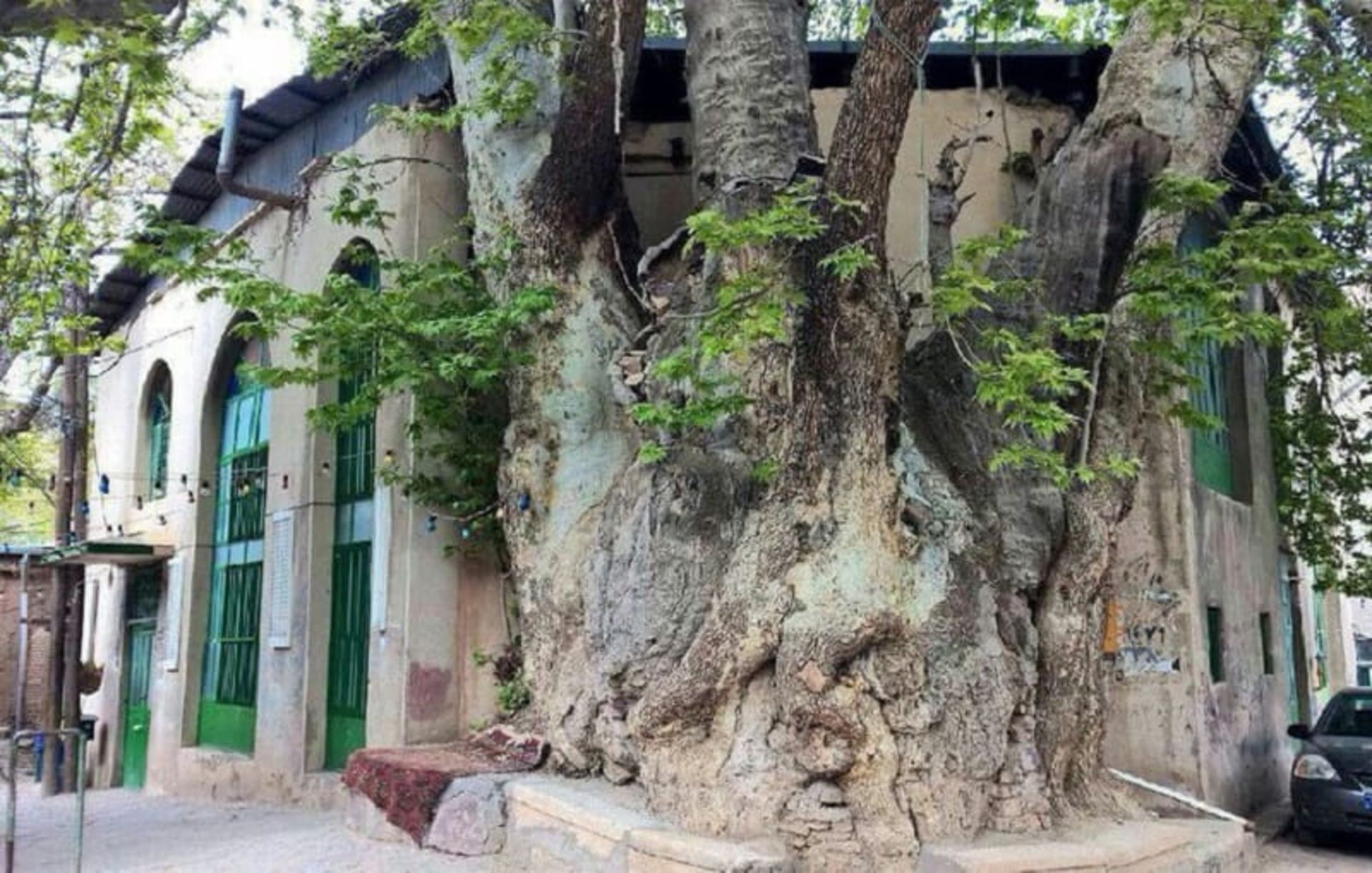 بناهای تاریخی برغان