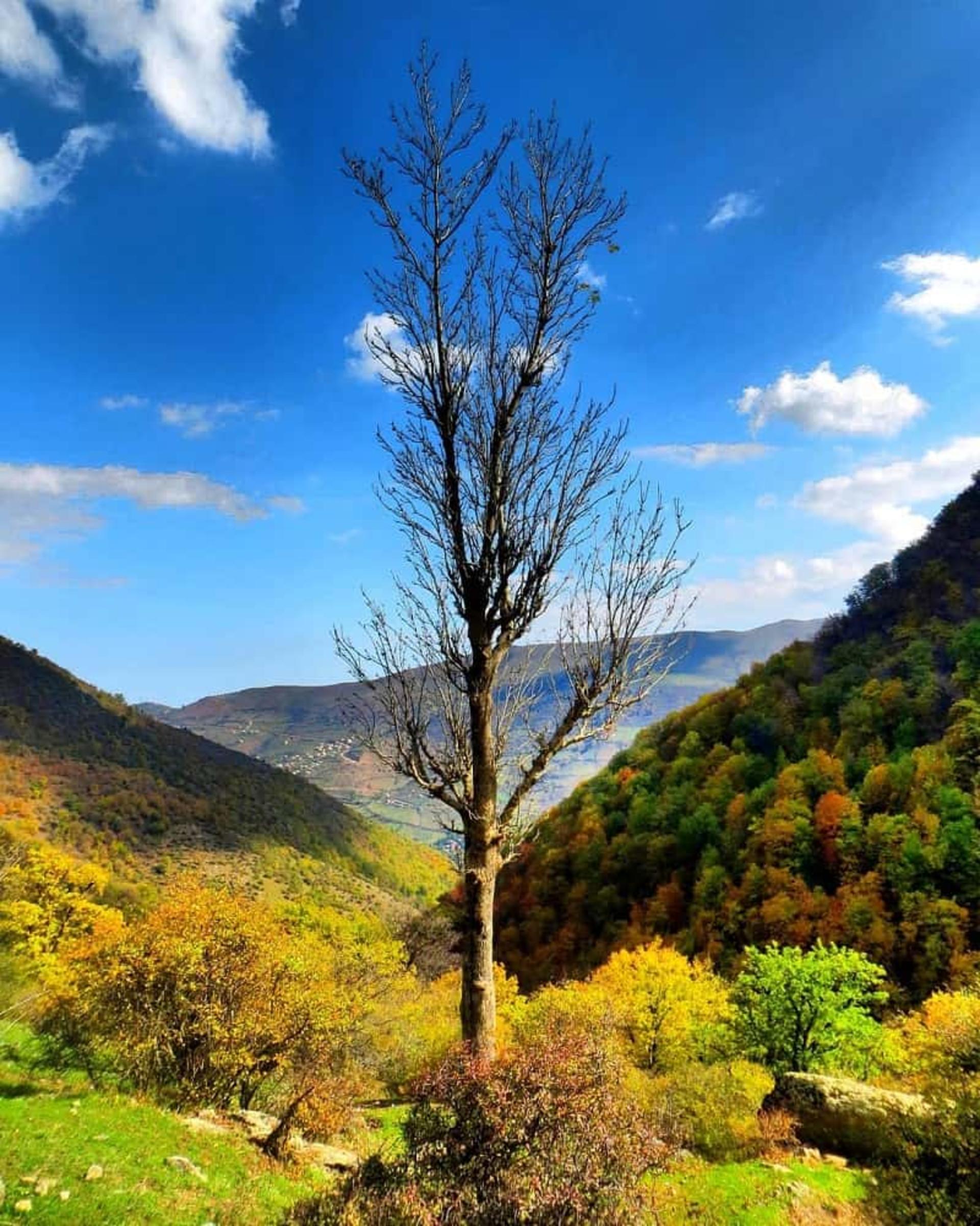 روستای آرمو