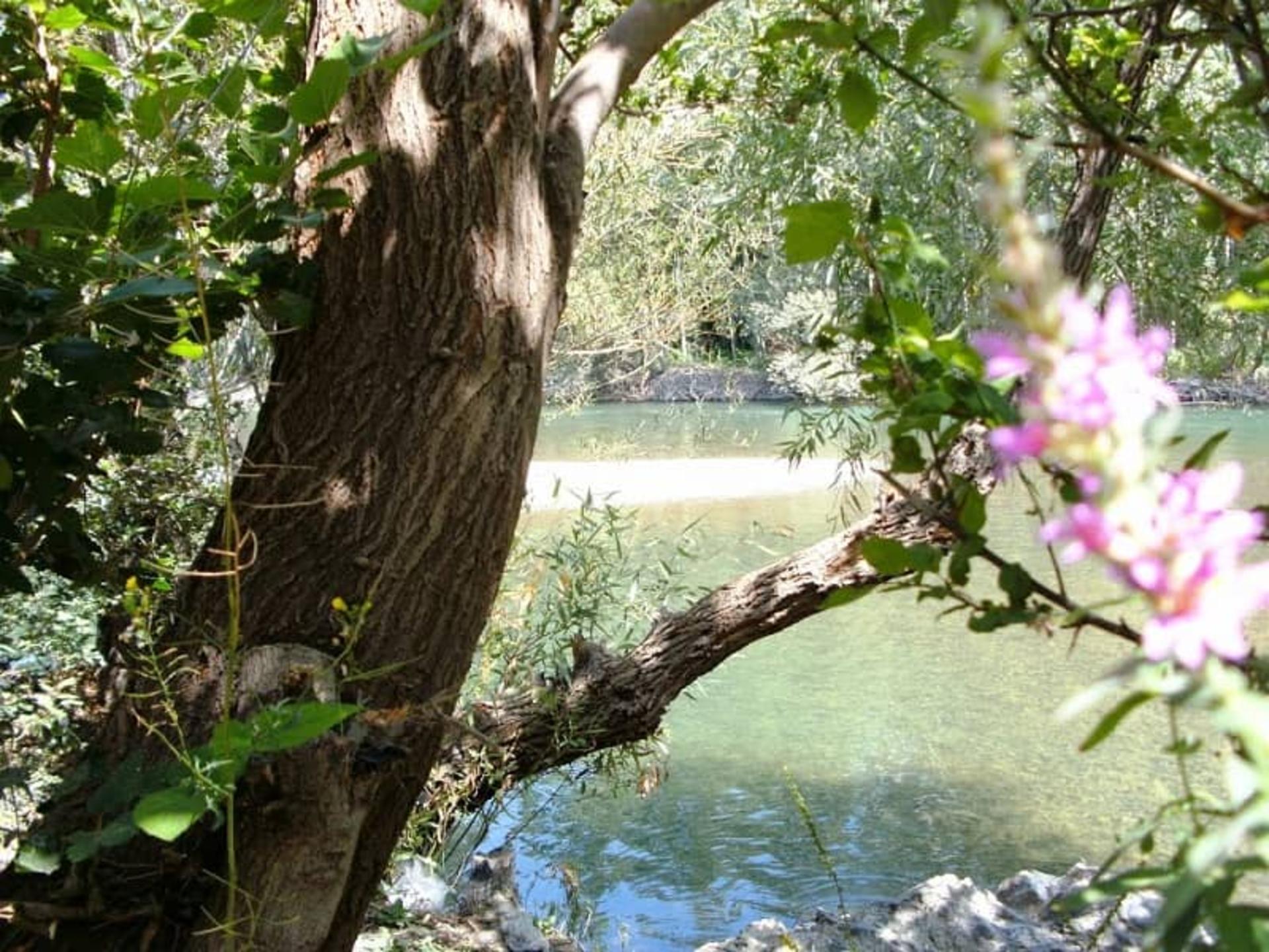 بهار در روستای هوره