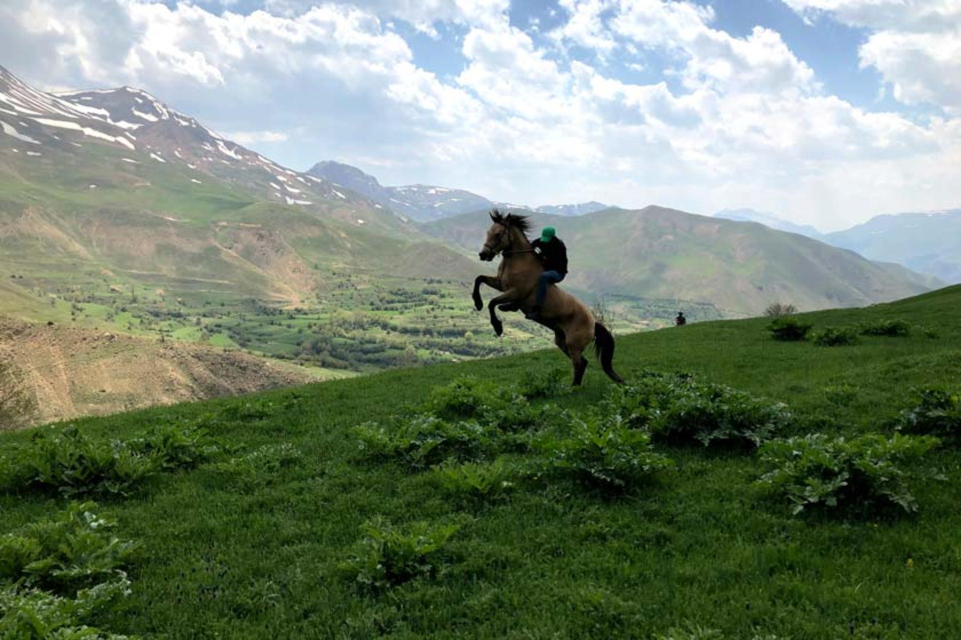 طبیعت بکر روستای نوا