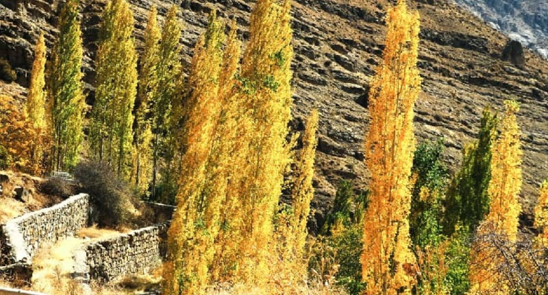 پاییز زیبا در برغان