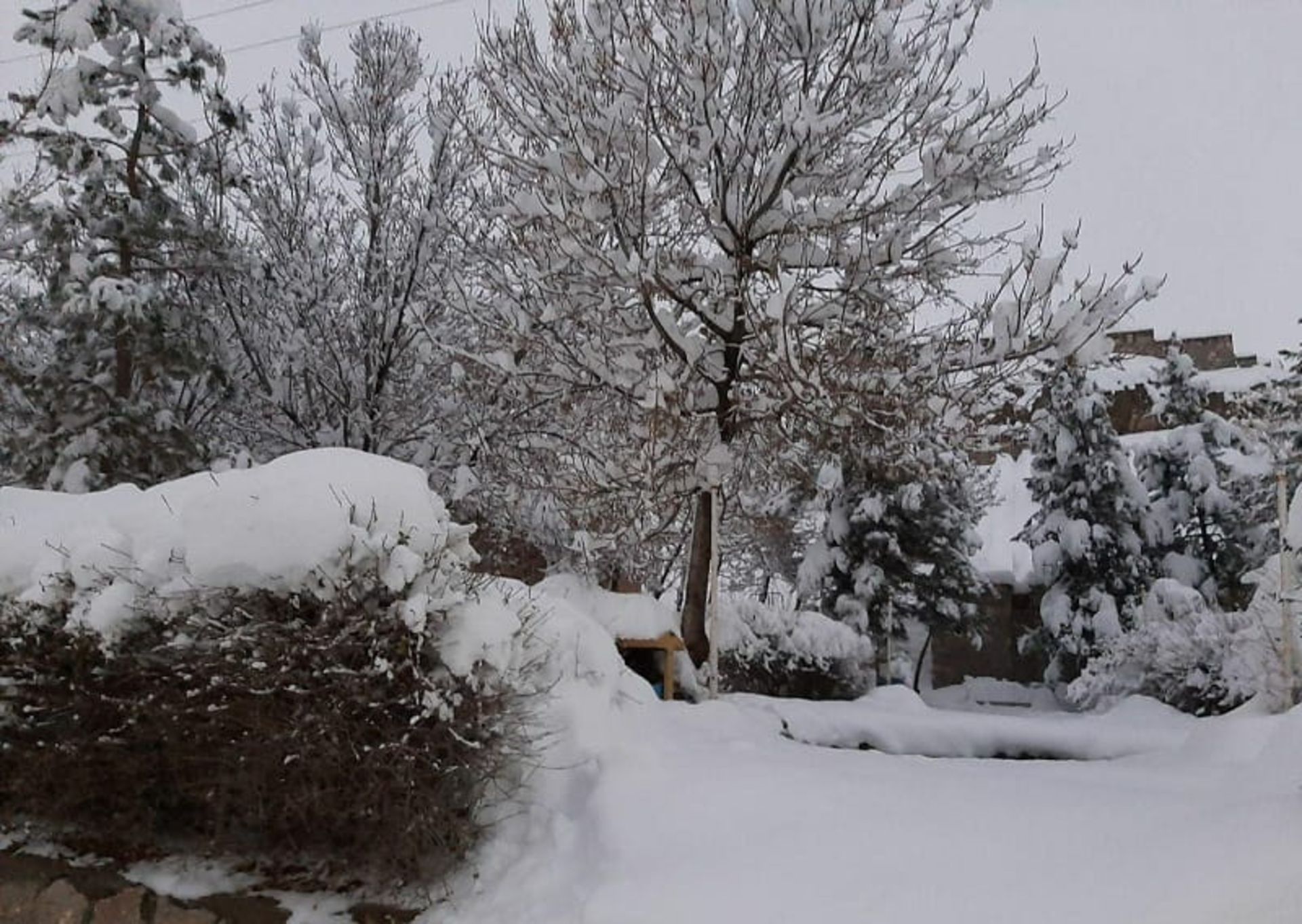 روستای گیامی