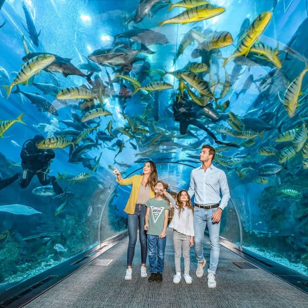 خانواده ای در حال بازدید از تونل آکواریوم دبی