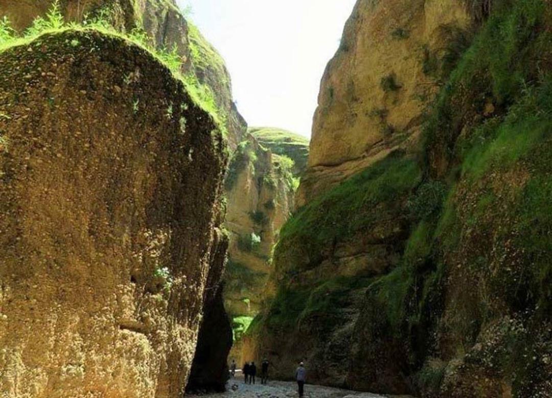 صخره های جلبکی دره کول خرسان