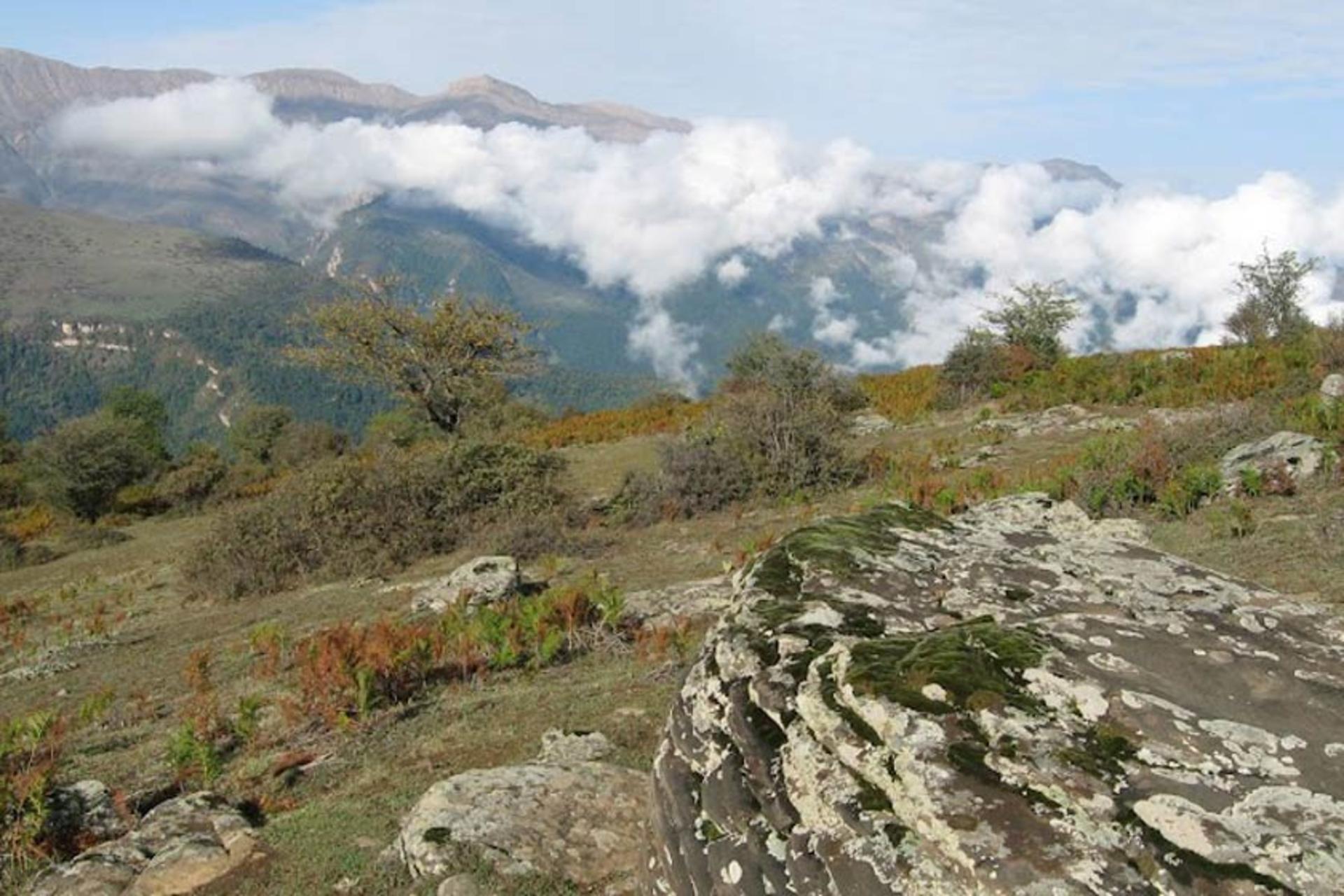 طبیعت‌گردی در مازیچال