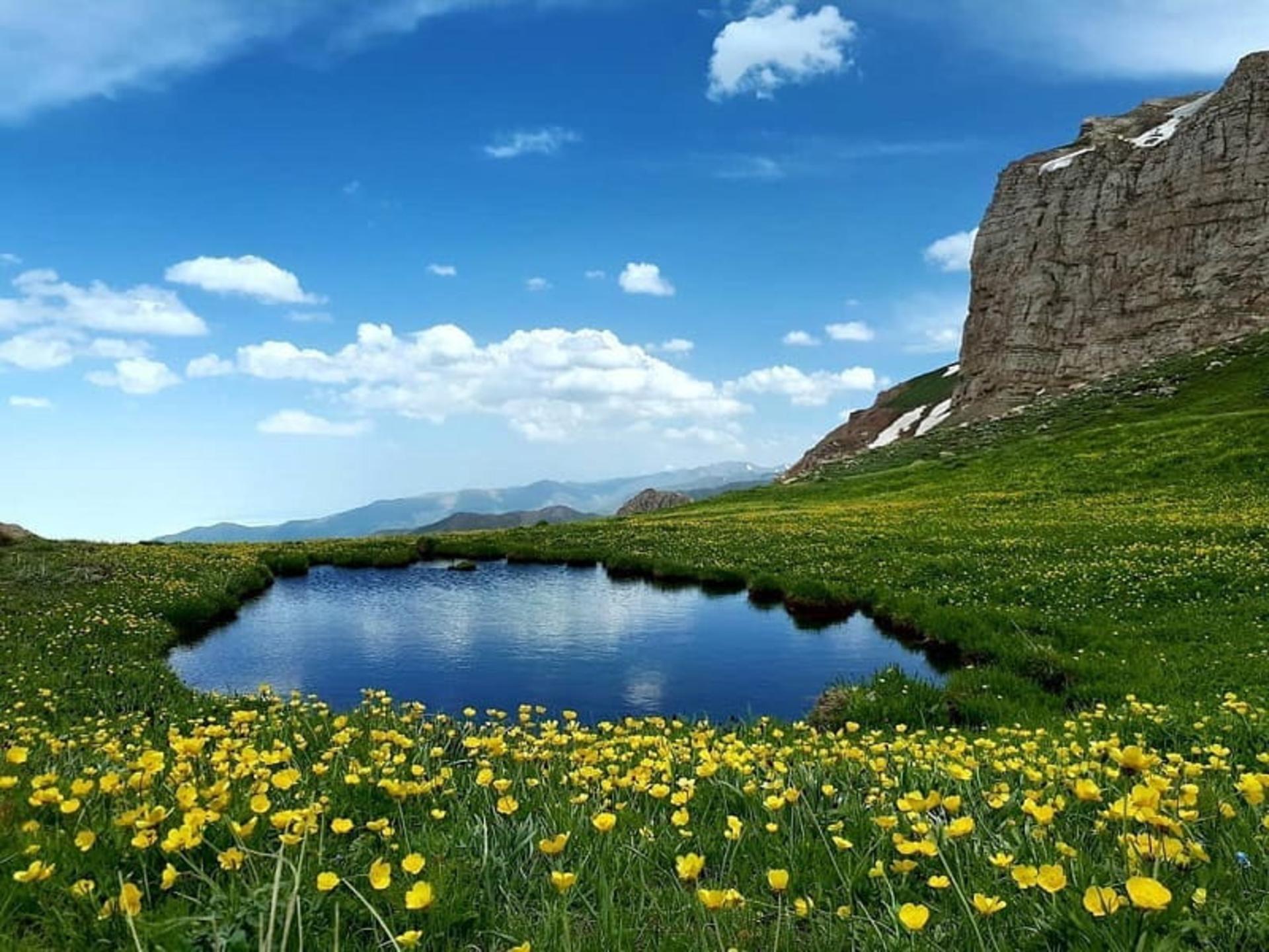 برکه‌ای در میان لپاسر