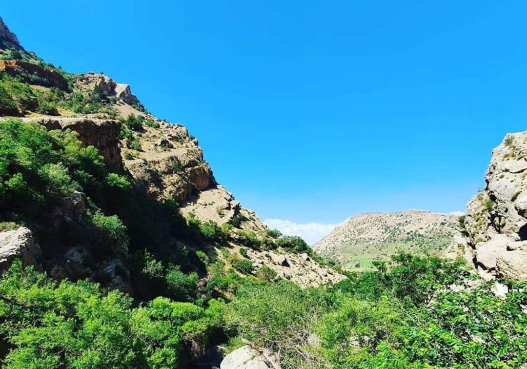 کوه های اطراف روستای مارگون با پوشش درختان سبز