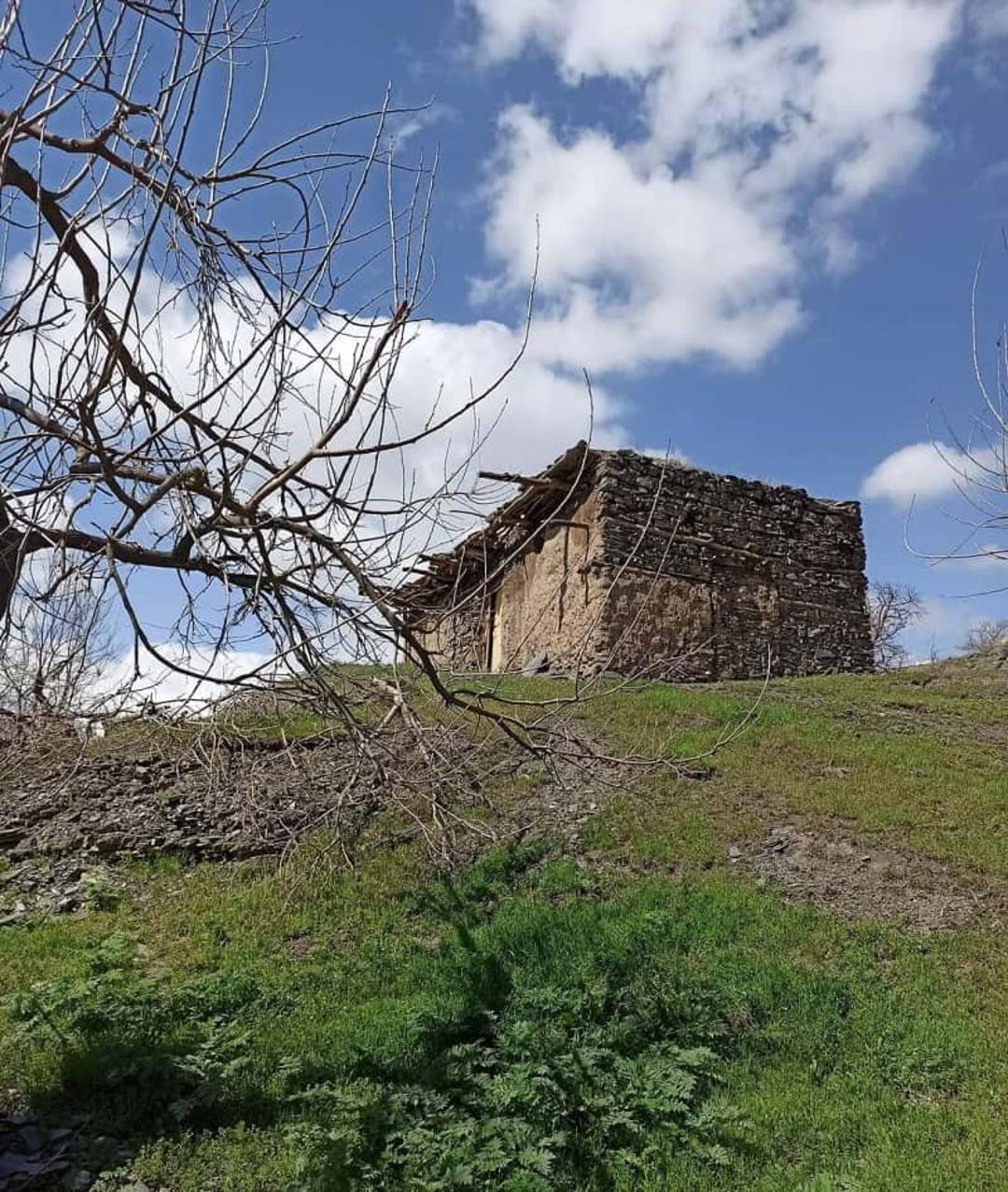 اقامت در جنگل جیغ مشهد