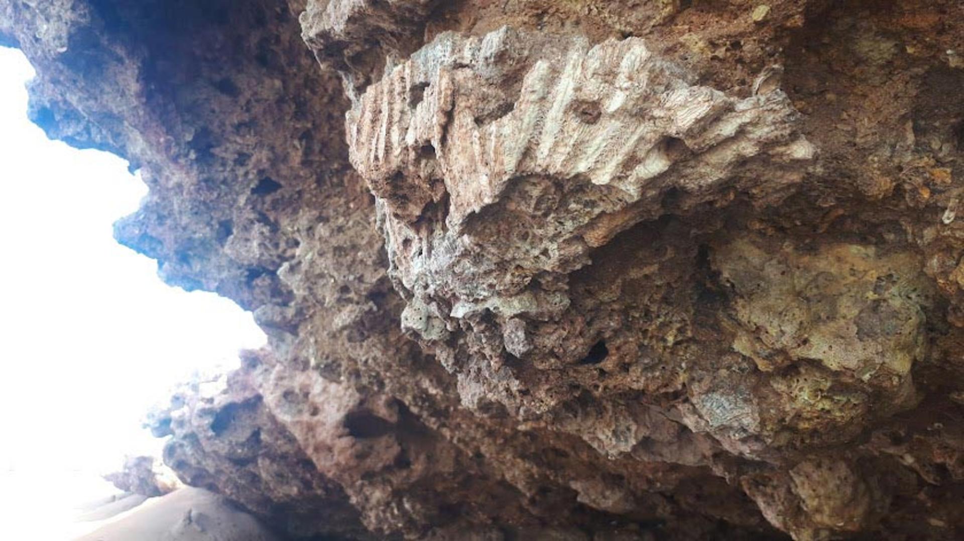 ساختارهای جغرافیایی جزیره لارک