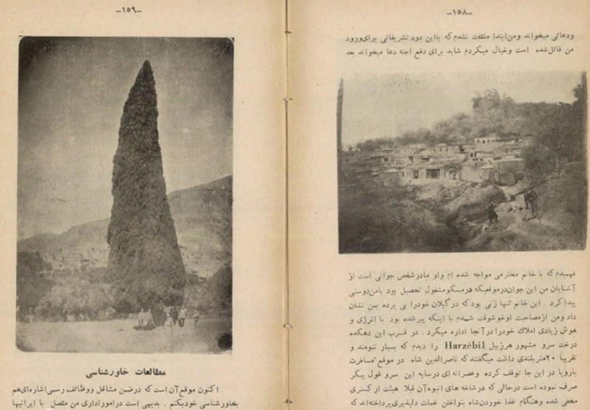 سرو هرزویل در کتاب