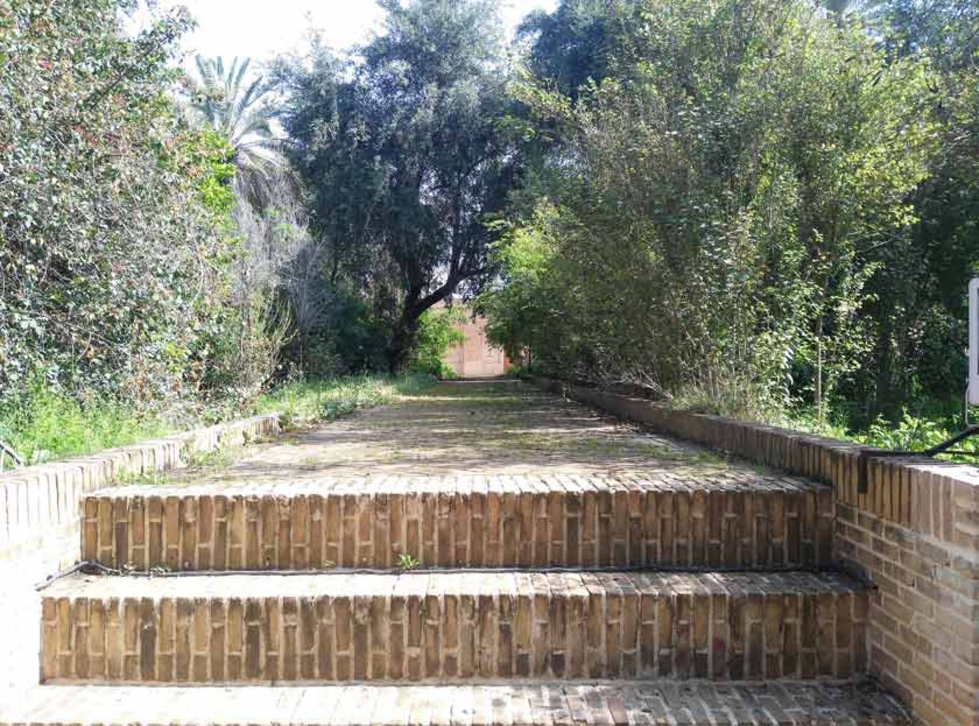 محوطه باغ عمارت صمیمی