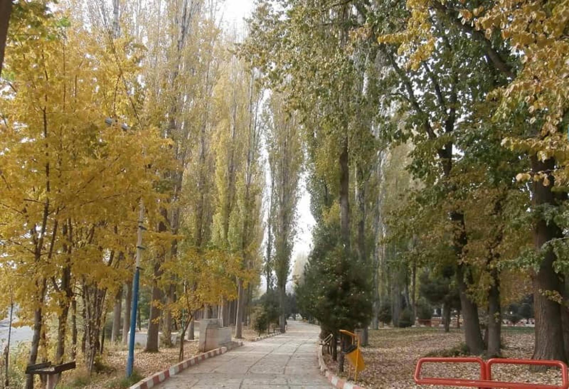 باغ میکاییل