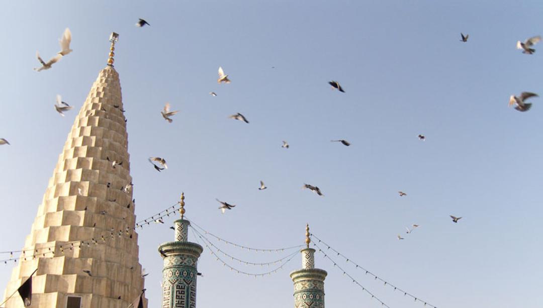 گنبد و کبوتران آرامگاه دانیال نبی