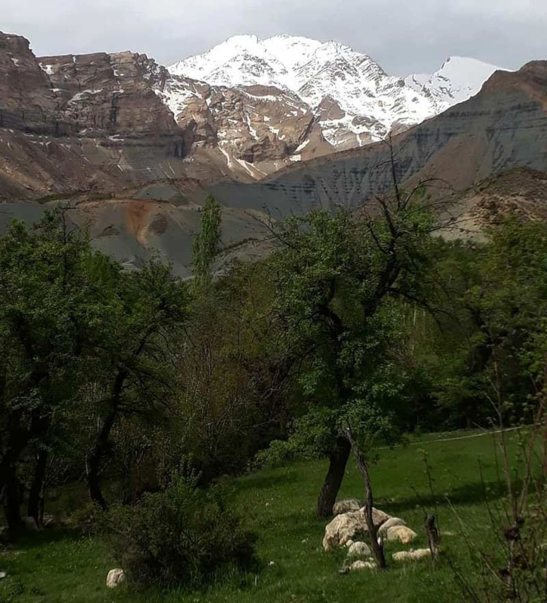 کوهستان های اطراف روستای خفر با دامنه های سرسبز و پردرخت