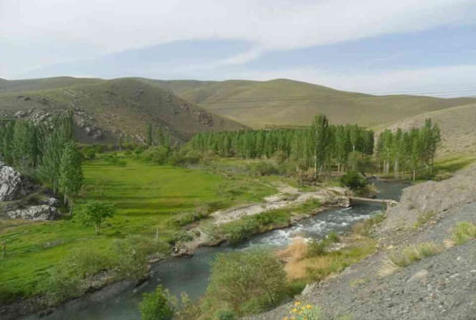 تنگه سرسبز غرقاب از نمای دور