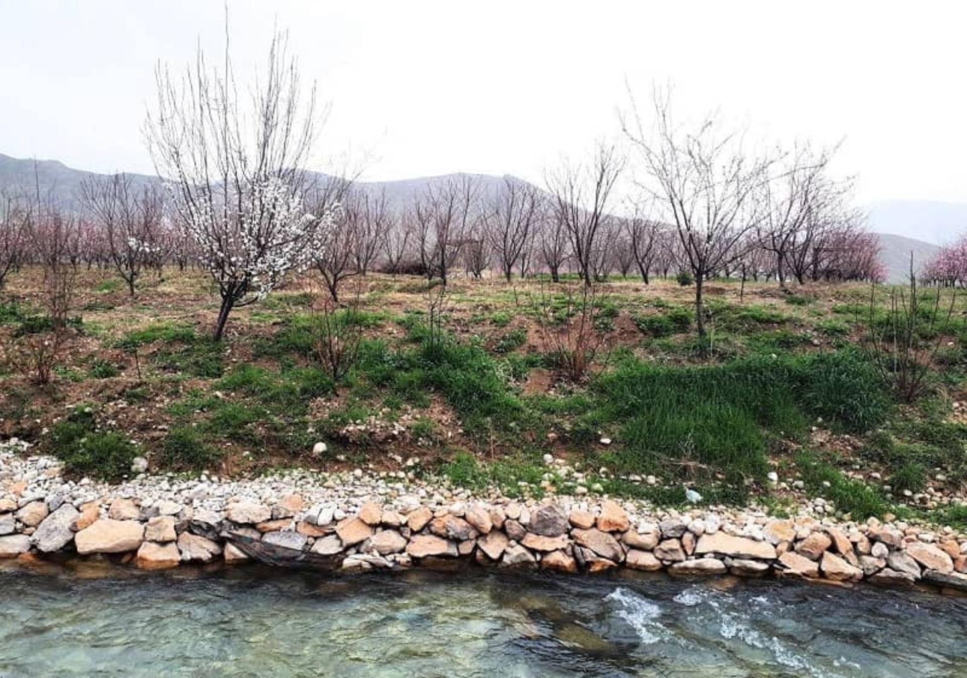 طبیعت زیبای نوژی‌وران
