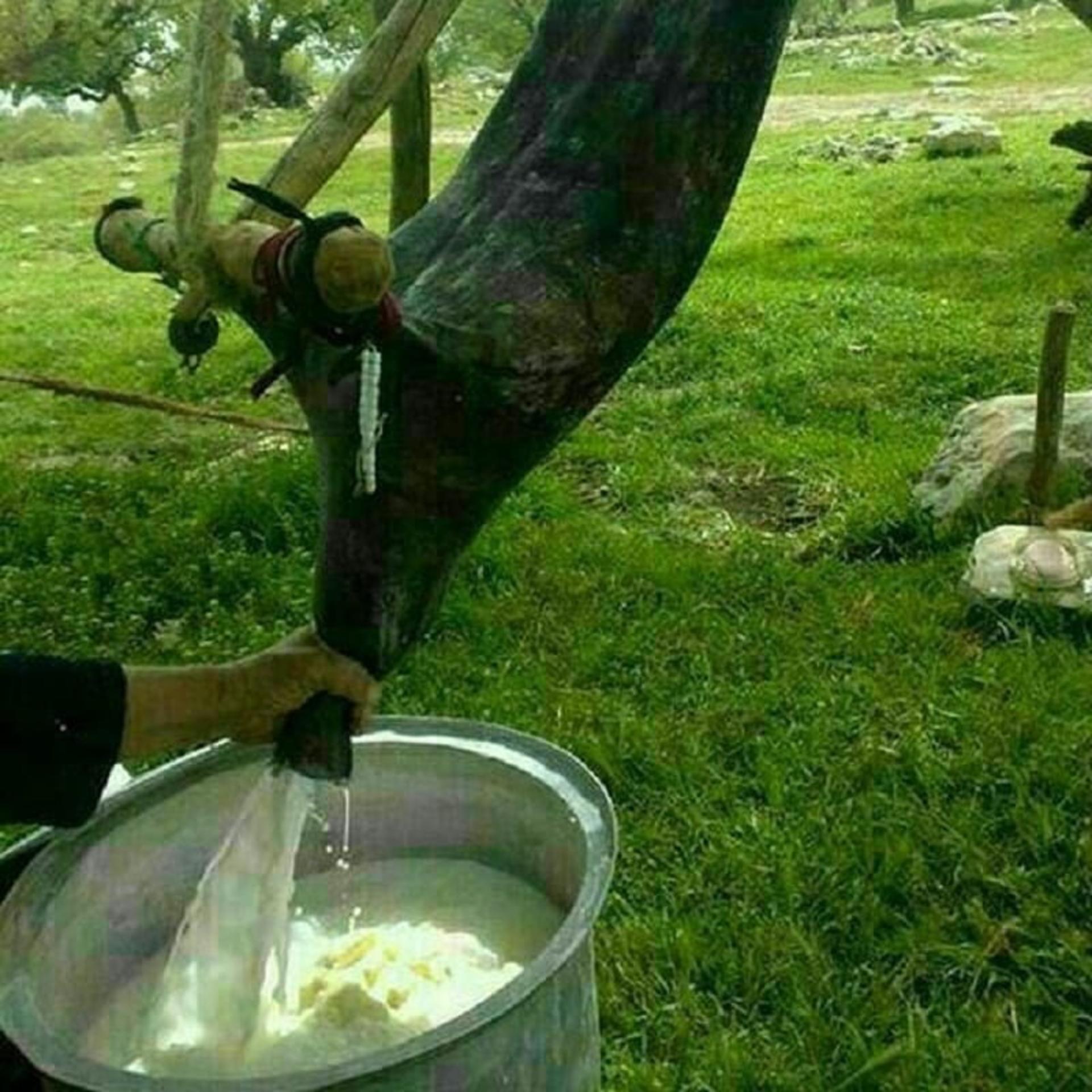آماده سازی دوغ محلی