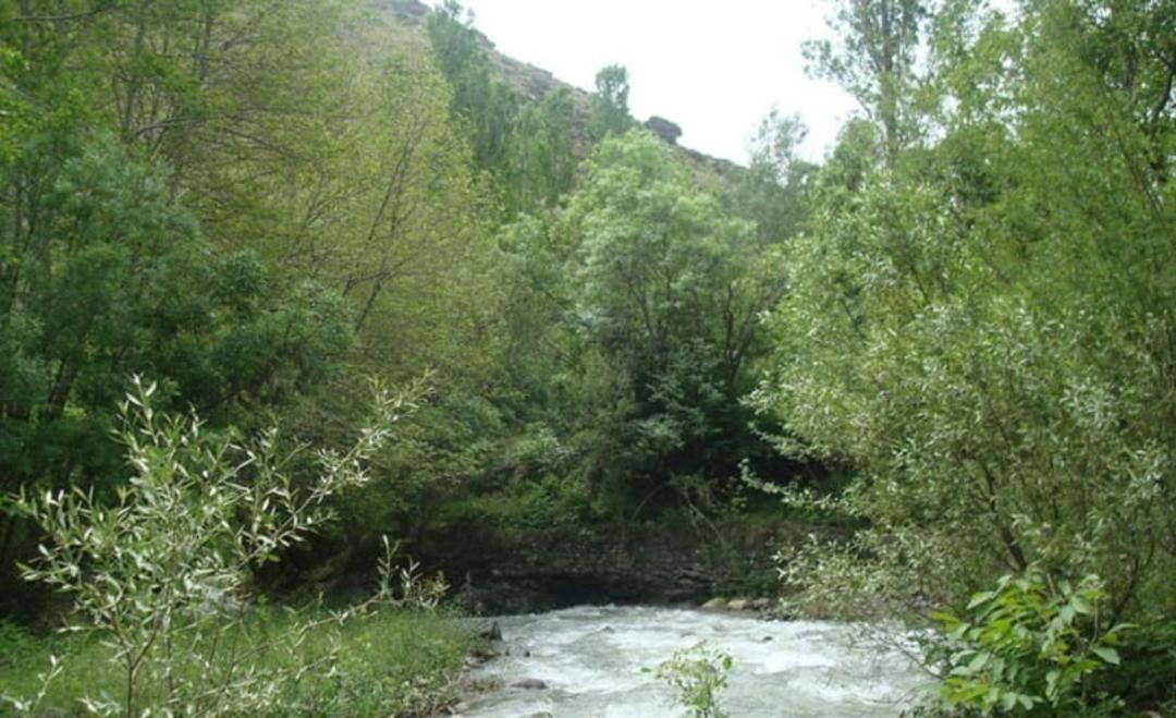 پوشش گیاهی روستای آغشت