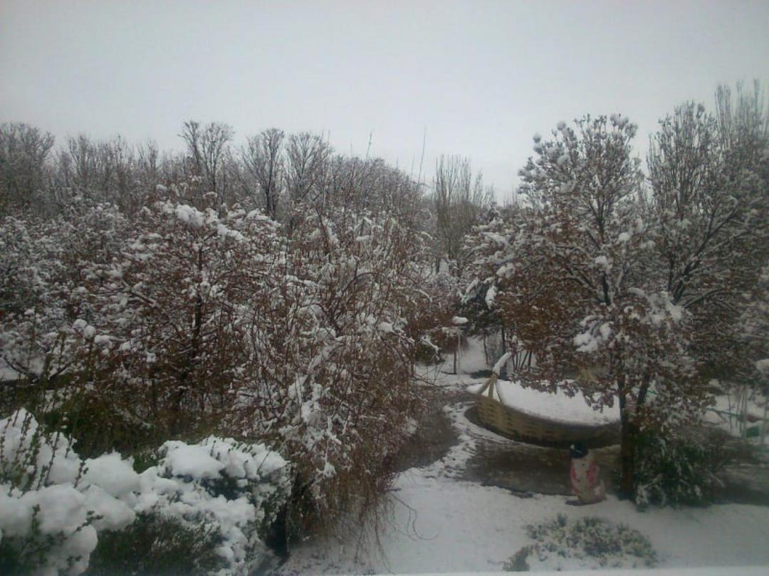 پارک باغمیشه