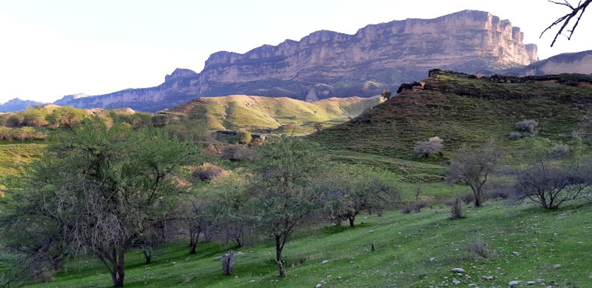 کوه تنگوان