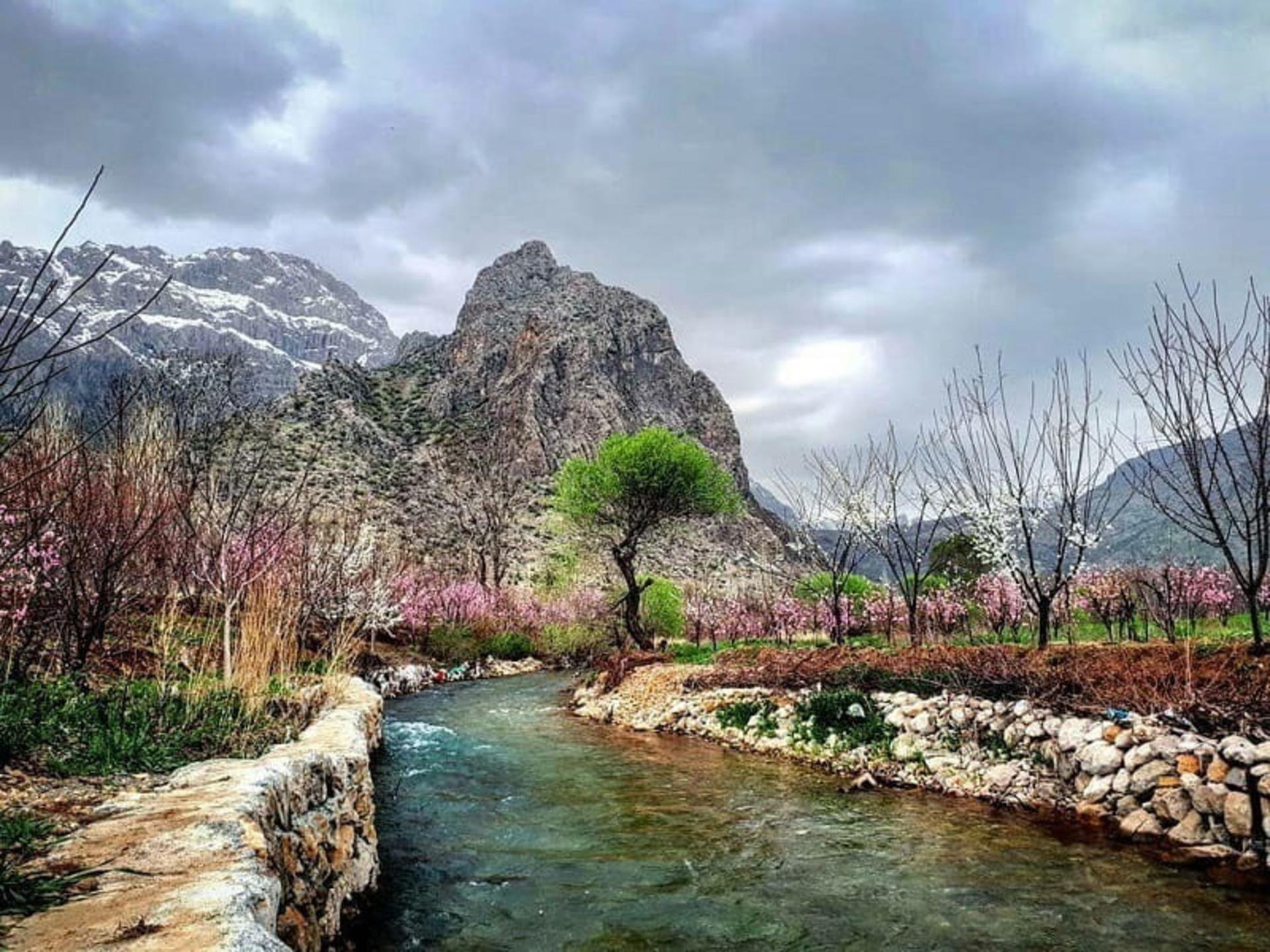 طبیعت زیبای نوژی‌وران