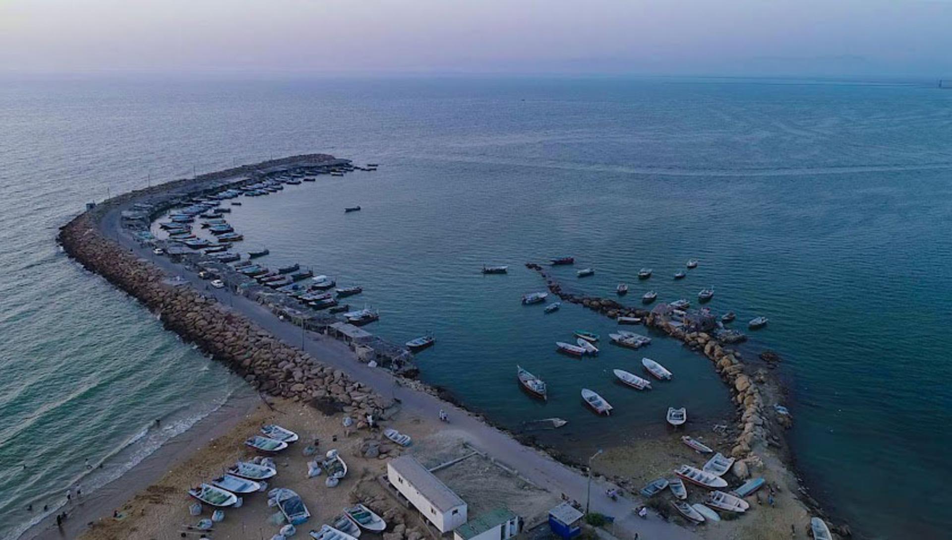 ساحل تیس