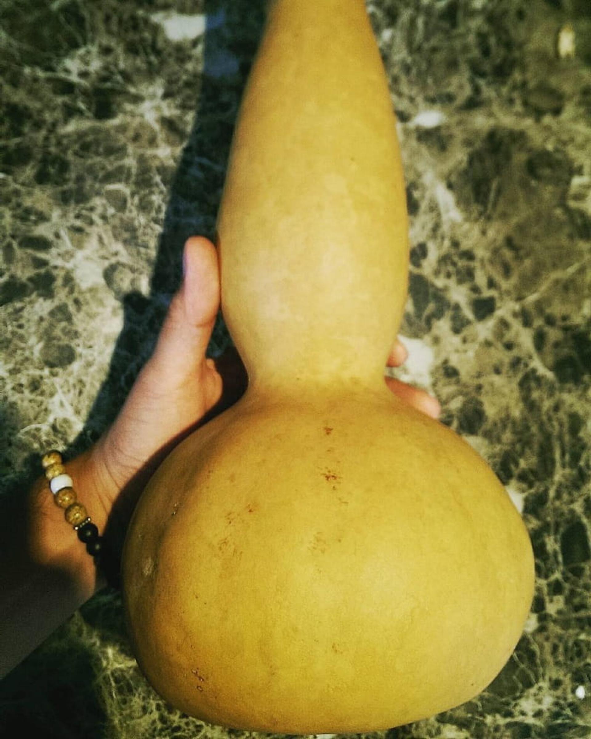 شکل کدوی قلیانی