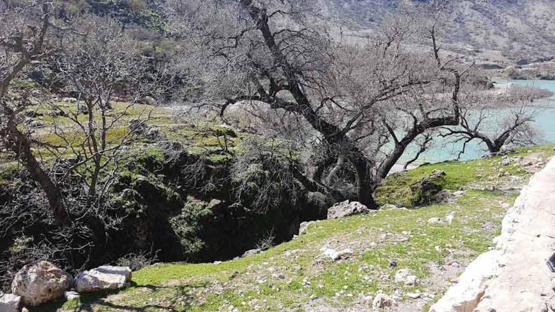 زیبایی‌های طبیعت در دشت شیمبار