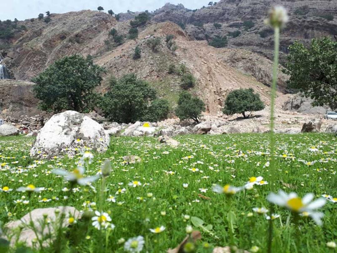 بهار در دشت شیمبار