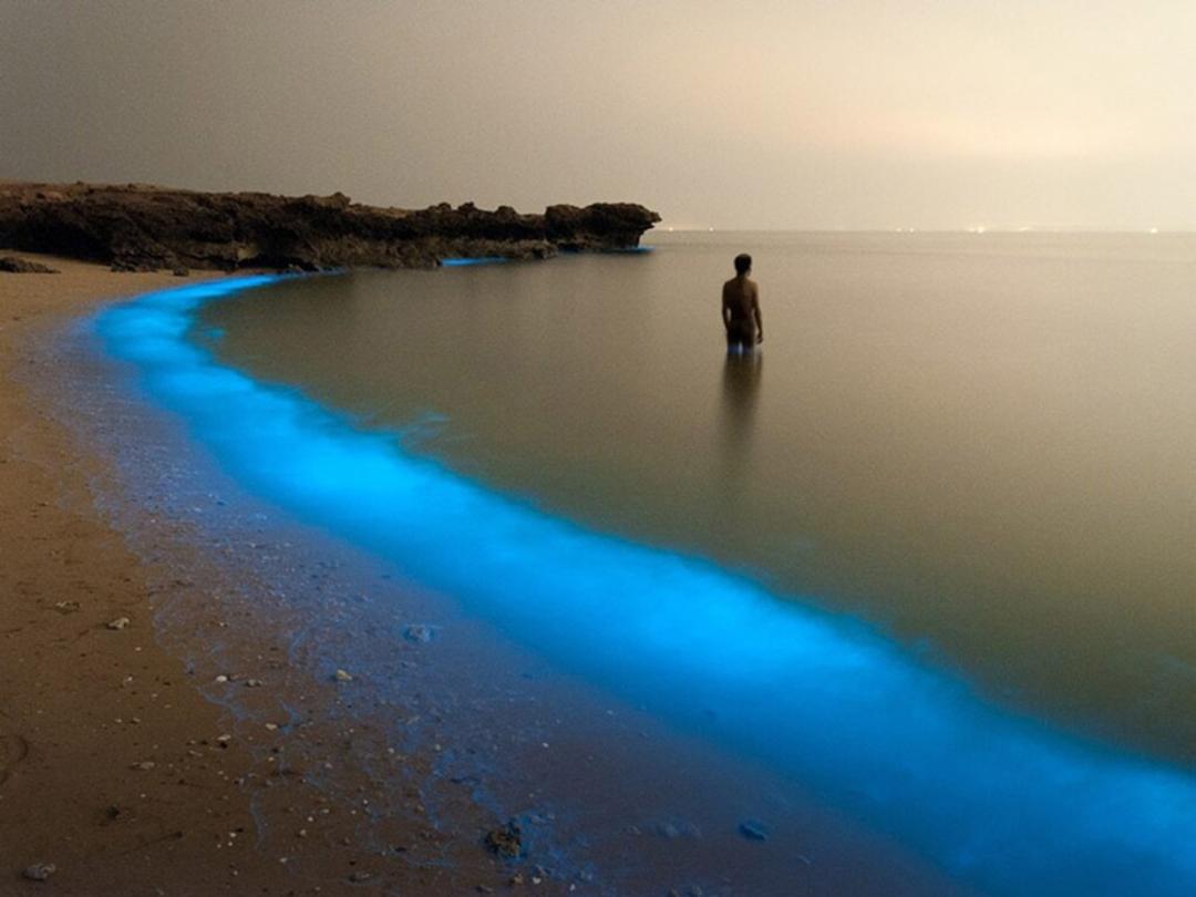شب‌های جزیره لارک