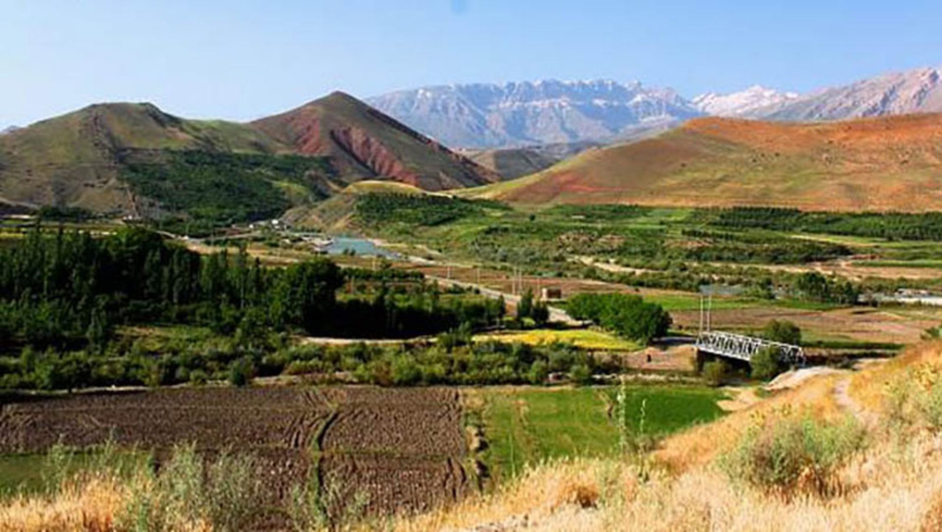 زمین های سرسبز اطراف روستای سیور در جوار کوهستان