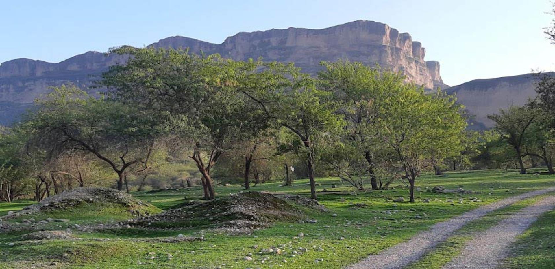 طبیعت‌گردی در کوه تنگوان
