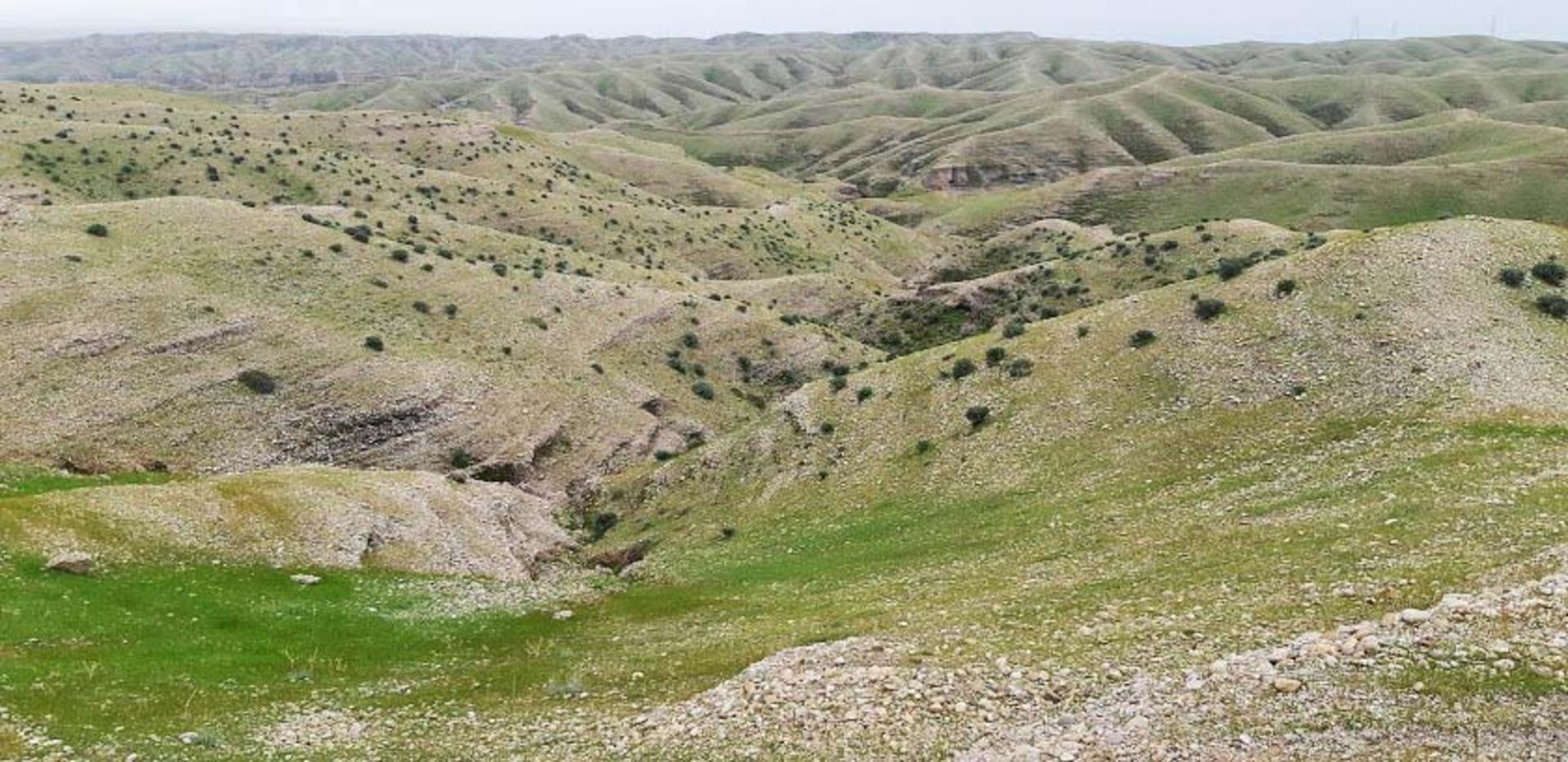 منطقه حفاظت شده کوه تنگوان