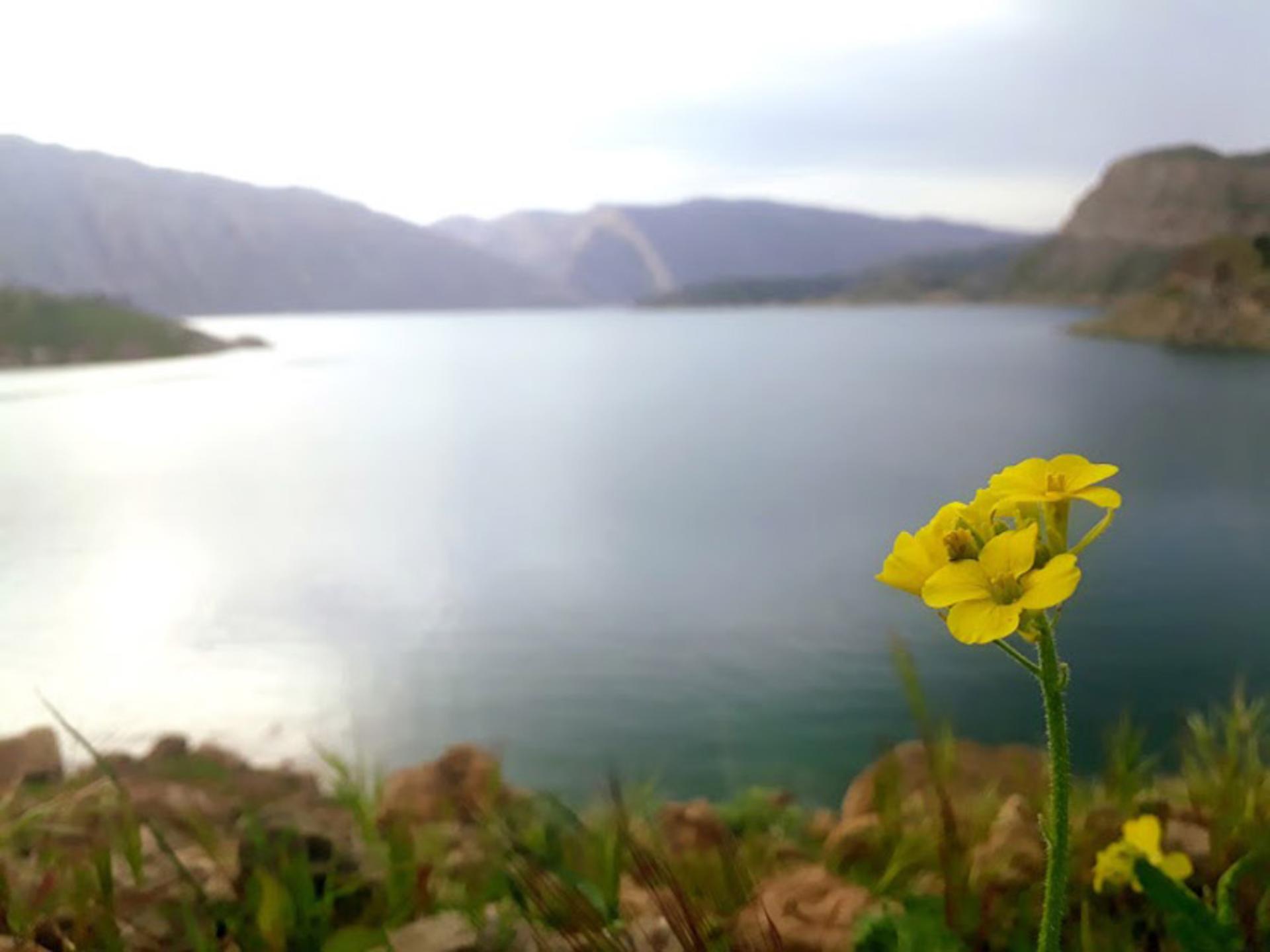 چشم‌انداز بهاری دریاچه سد مارون