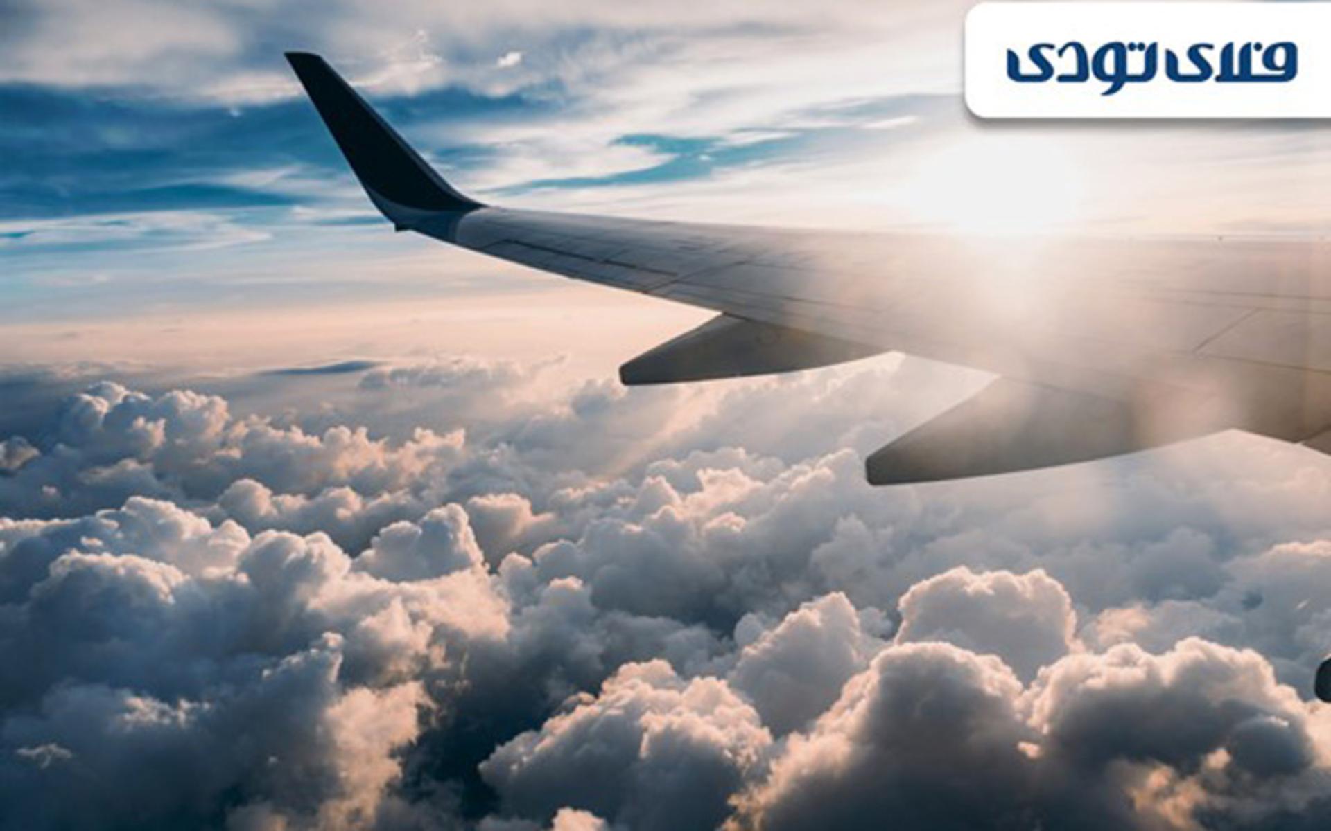 فلای تودی