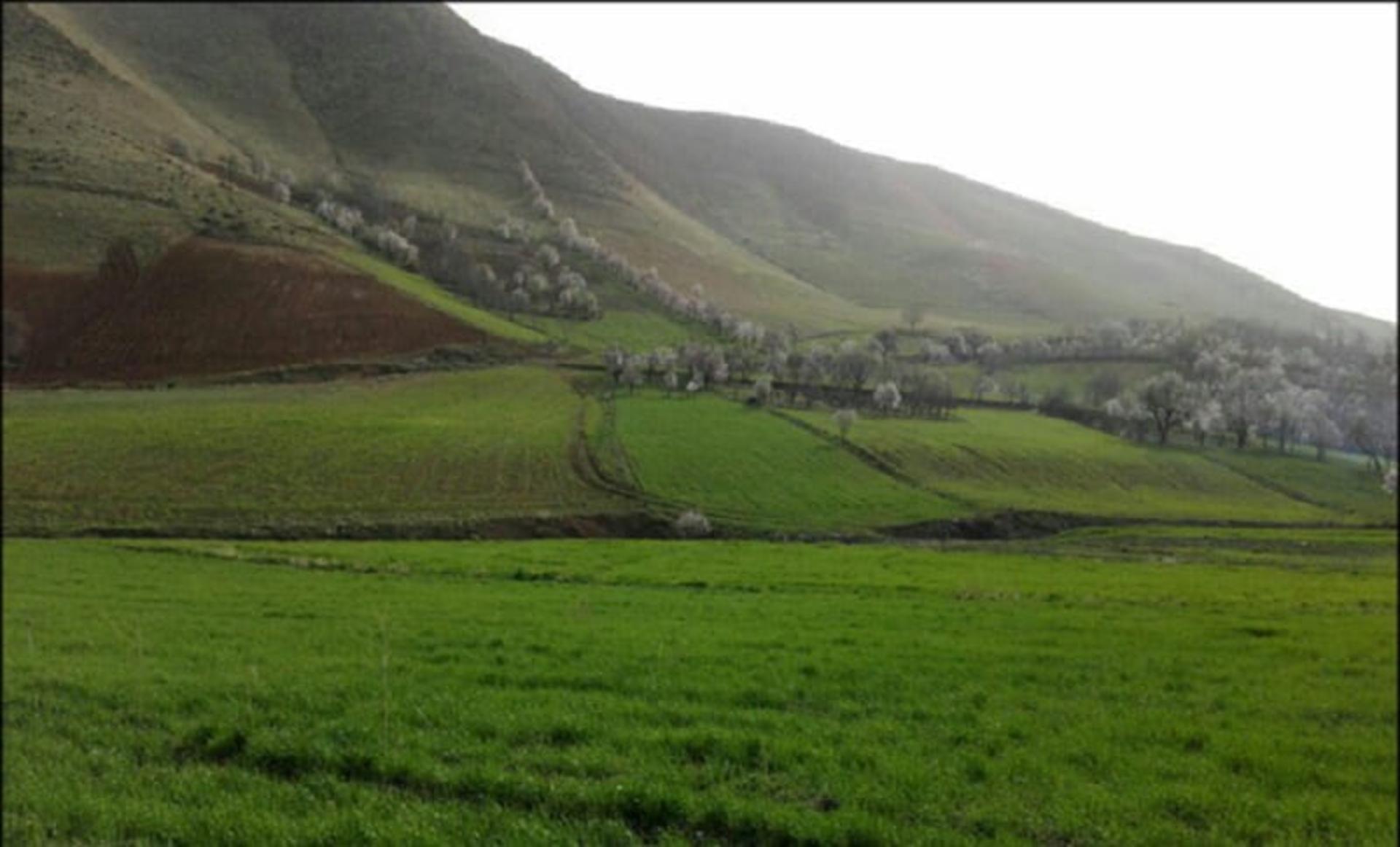 دشت‌های اطراف روستای پریان