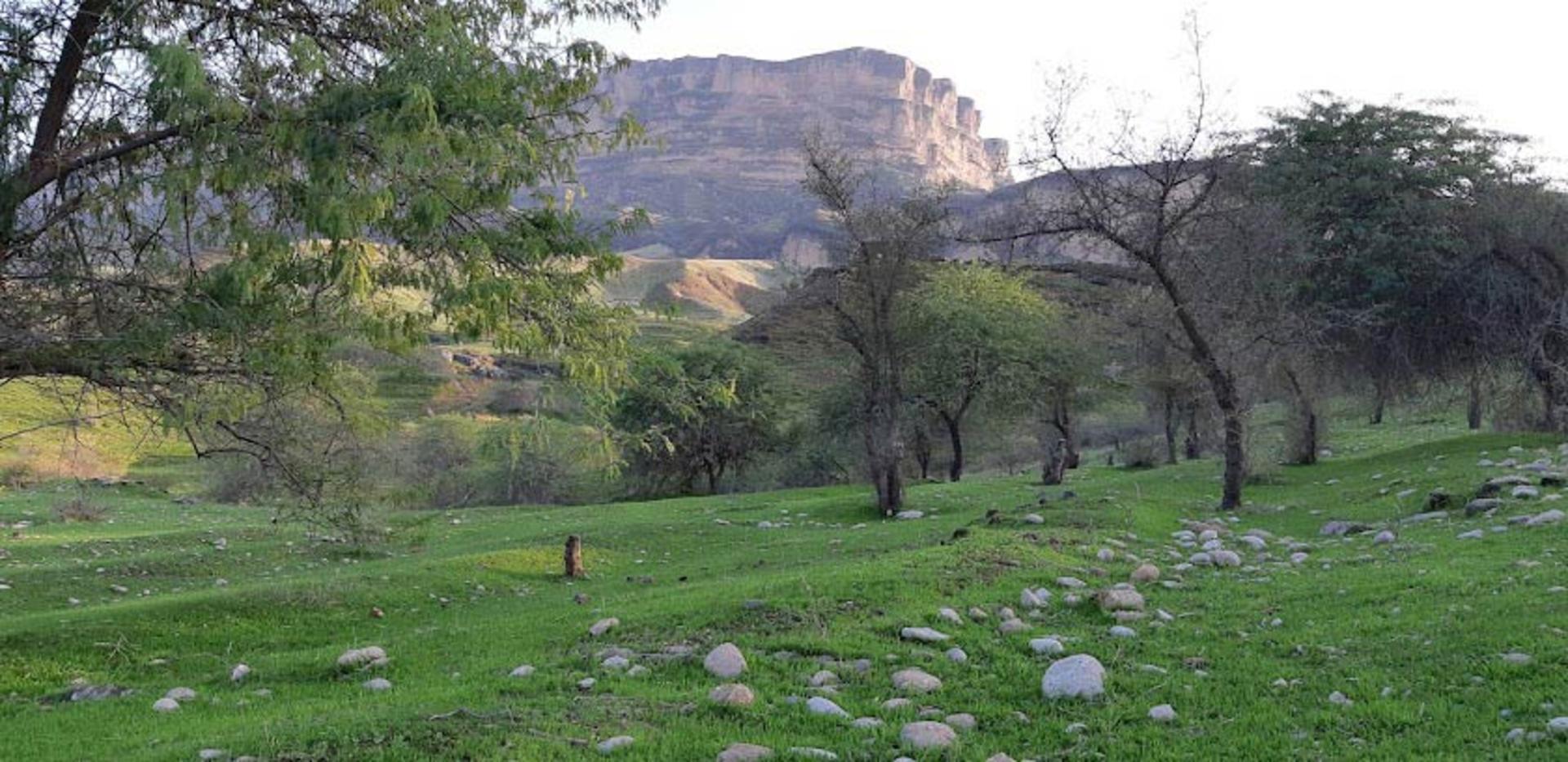 طبیعت سرسبز کوه تنگوان