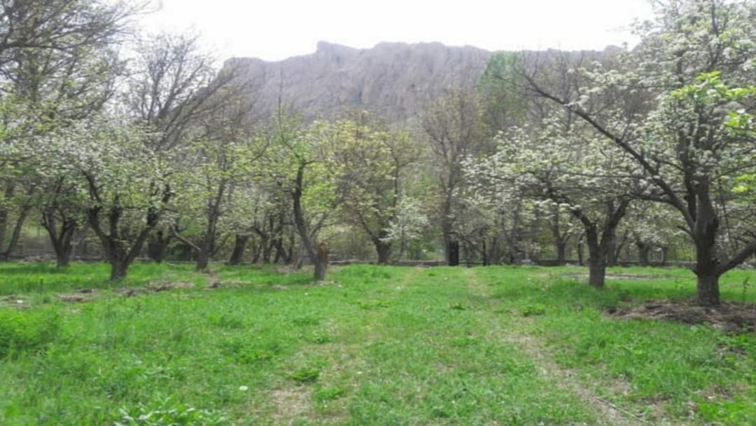 پیاده روی خمده
