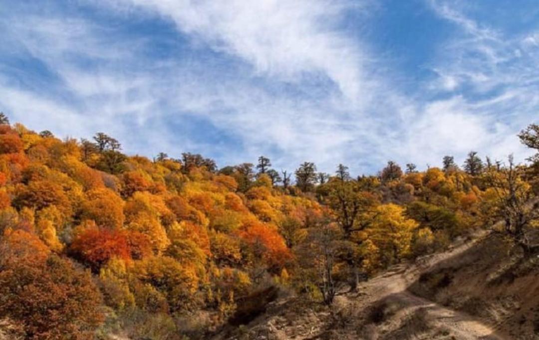 روستای شیرین آباد