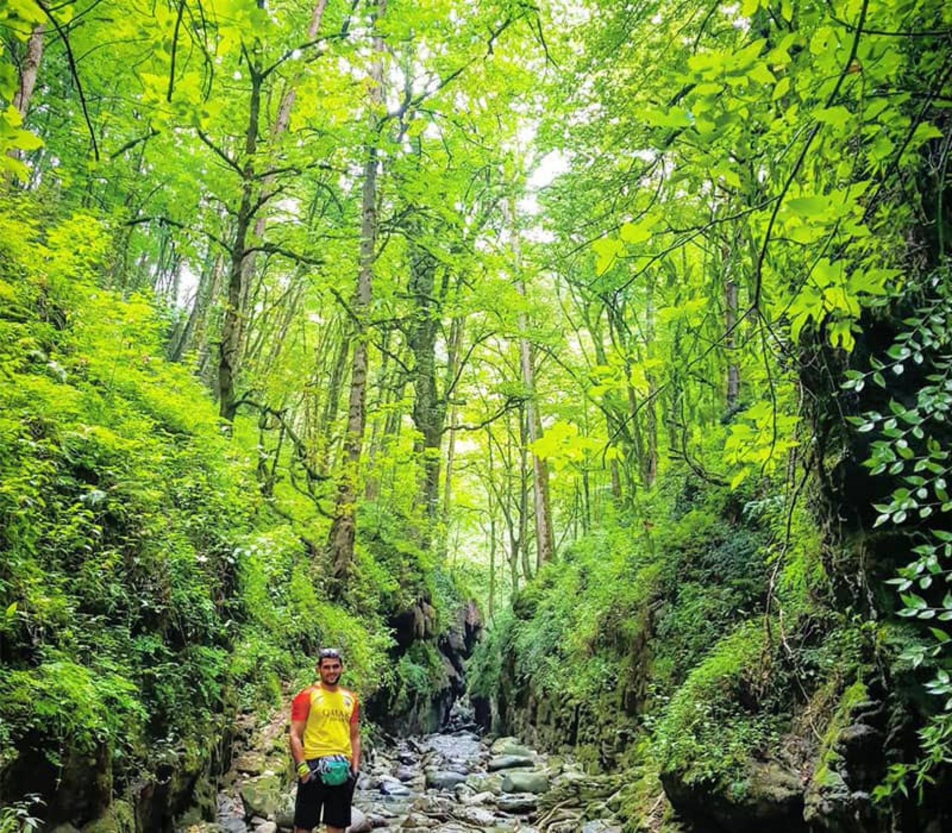 مسیر جنگلی دسترسی به آبشار ماهی مشو