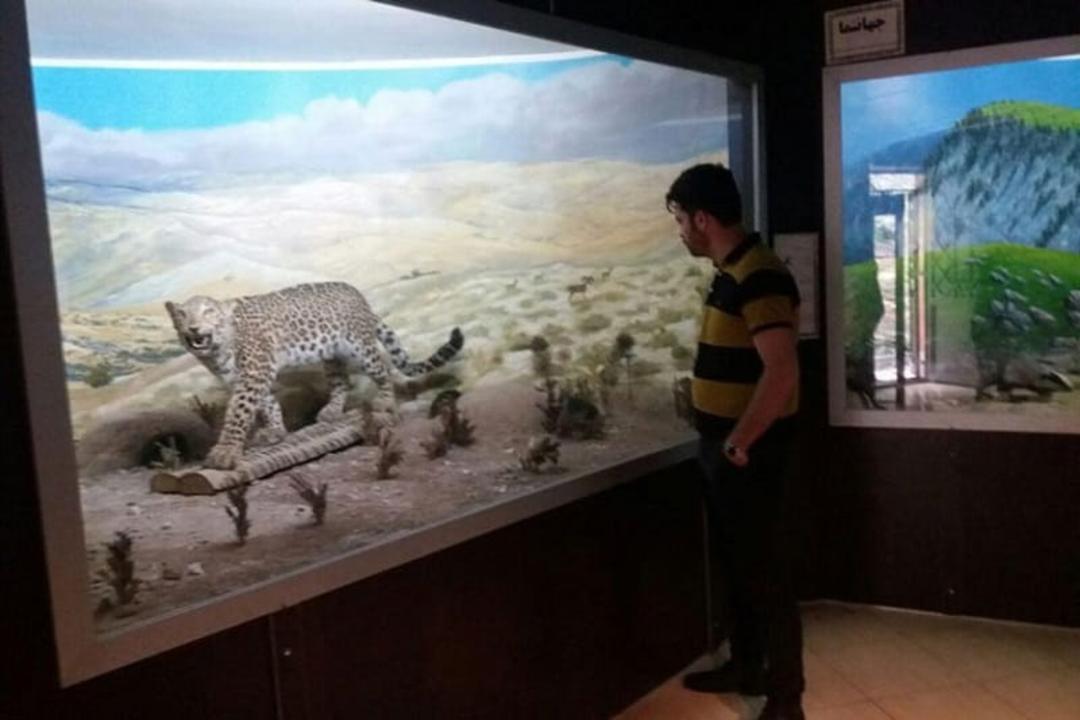 موزه تاریخ طبیعی کبودوال