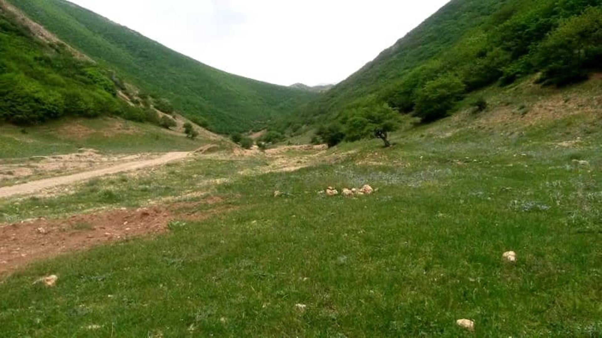 منطقه کوهستانی سرسبز