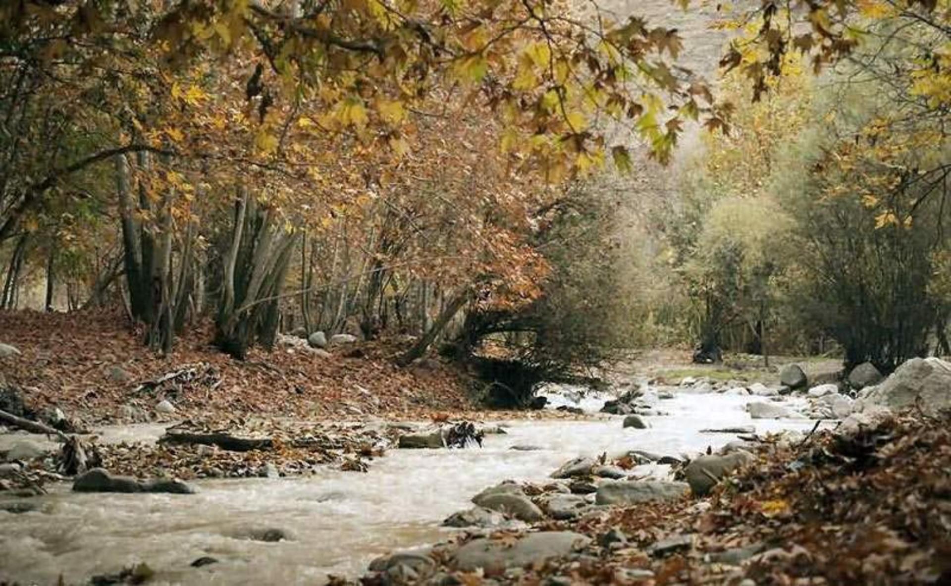 رودخانه خروشان برغان کنار درختان سرسبز