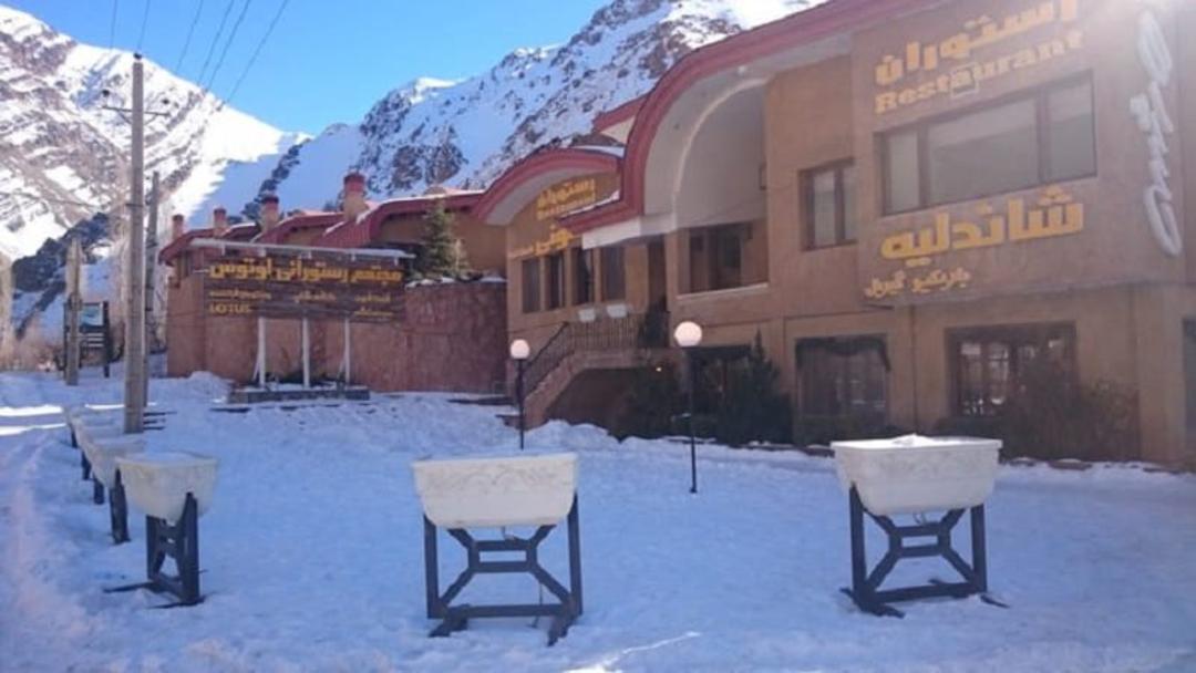 لوتوس دیزین