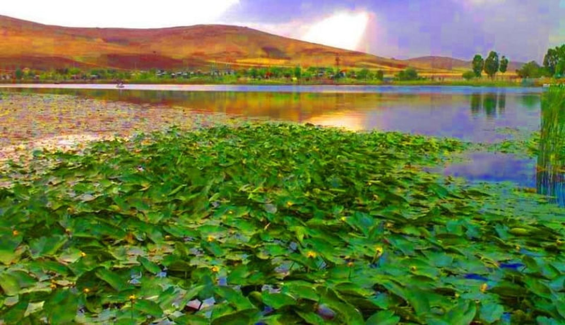 دریاچه سراب نیلوفر