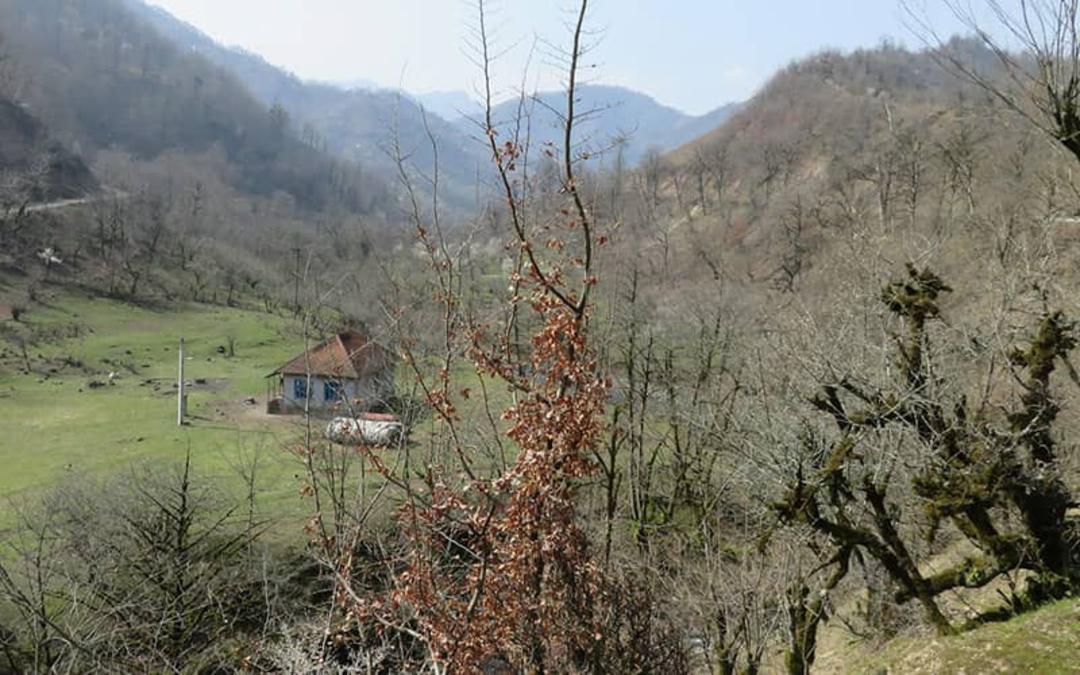 طبیعت پاییزی روستای کوته کومه