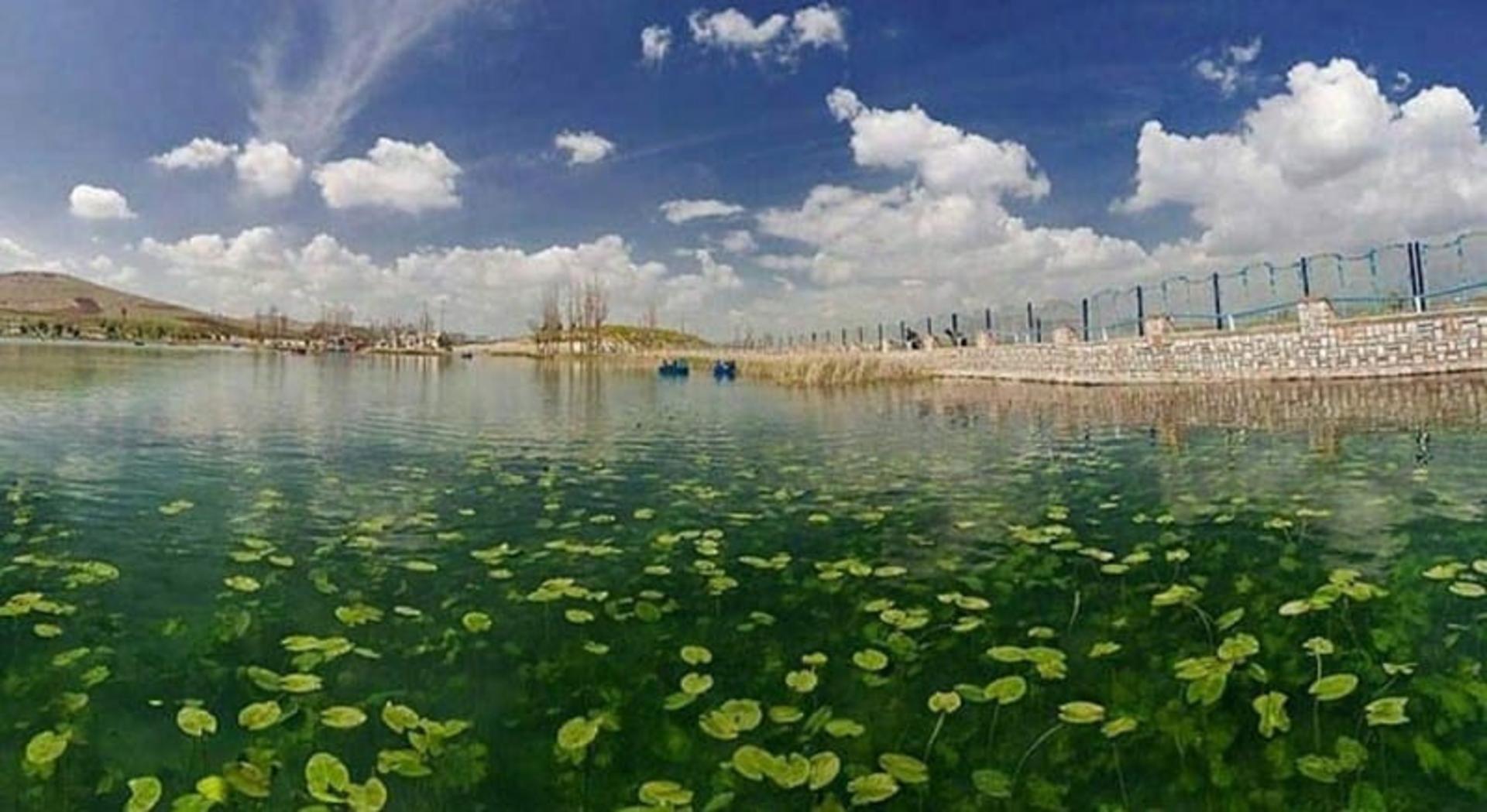 سراب نیلوفر