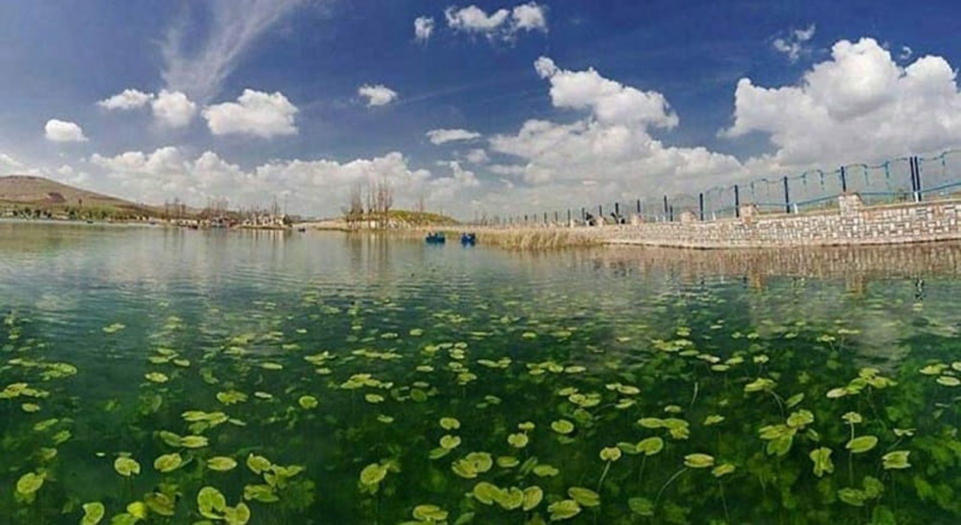 سراب نیلوفر