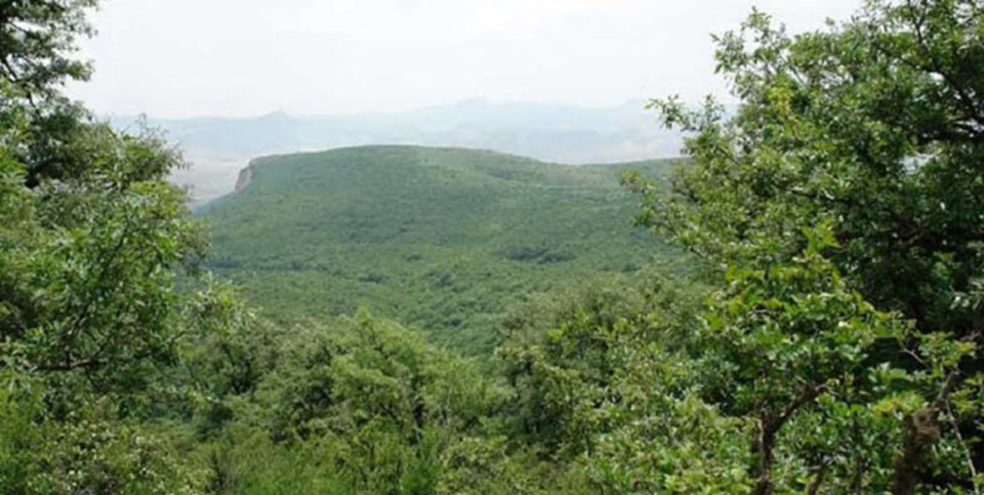 روستای دشت جاجرم